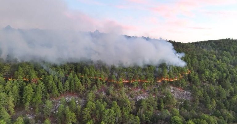 Oak Mountain wildfire scorches 250 acres, now 50% contained Oak Mountain wildfire scorches 250 acres, now 50% contained