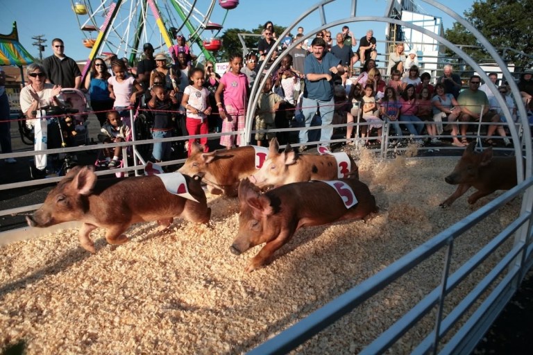 5 ways to make new fall traditions, starting with the season’s first fair near Birmingham 5 ways to make new fall traditions, starting with the season’s first fair near Birmingham