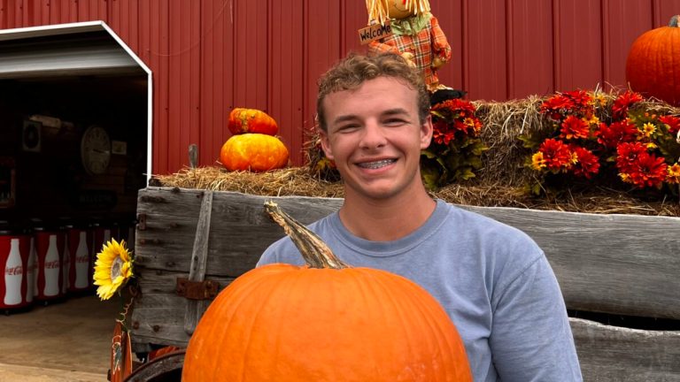 8 perfect pumpkin patches near Birmingham: Everything you need to know for 2026 8 perfect pumpkin patches near Birmingham: Everything you need to know for 2026