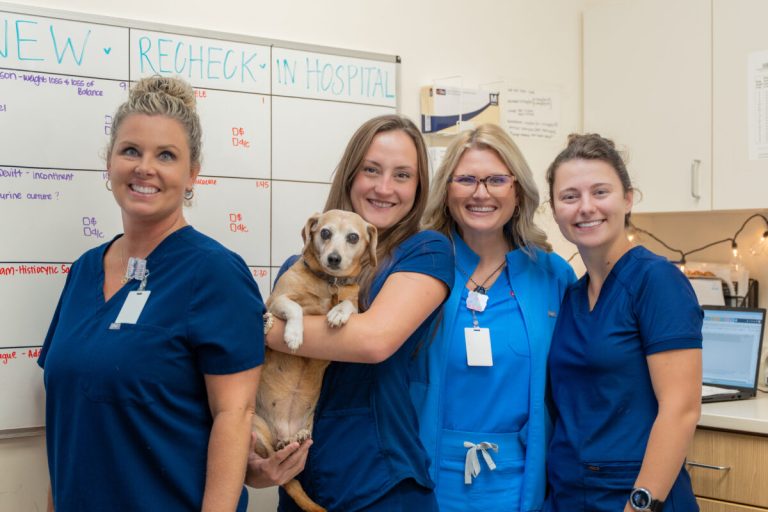 Meet the Birmingham vets helping pets have more good days Meet the Birmingham vets helping pets have more good days