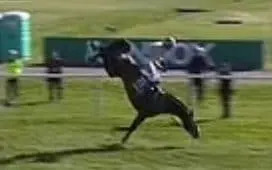 Racing breathes sigh of aid after Broadway Boy returns house following Grand Nationwide horror fall Racing breathes sigh of aid after Broadway Boy returns house following Grand Nationwide horror fall