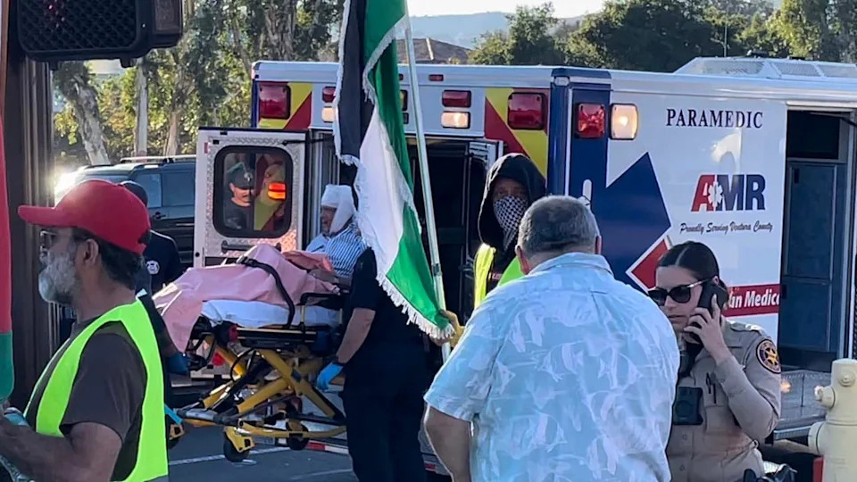 California professor accused of killing pro-Israel protester will ‘doubtless’ keep away from prolonged jail sentence California professor accused of killing pro-Israel protester will ‘doubtless’ keep away from prolonged jail sentence