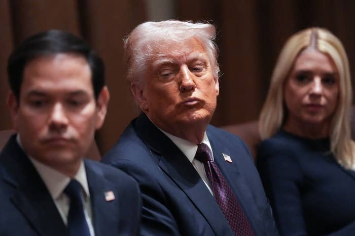 Trump Supporters Are Revealing How They will Vote In The Midterms, And I Was Not Anticipating Most Of These Responses Trump Supporters Are Revealing How They will Vote In The Midterms, And I Was Not Anticipating Most Of These Responses