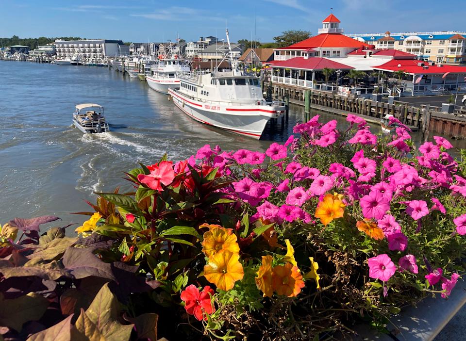 These Delaware cities had been named ‘most lovely’ to go to in spring These Delaware cities had been named ‘most lovely’ to go to in spring