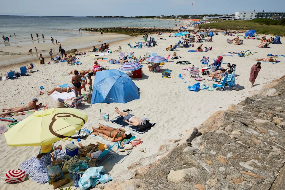 Flesh-eating micro organism present in swimmer who was at Cape Cod seaside Flesh-eating micro organism present in swimmer who was at Cape Cod seaside
