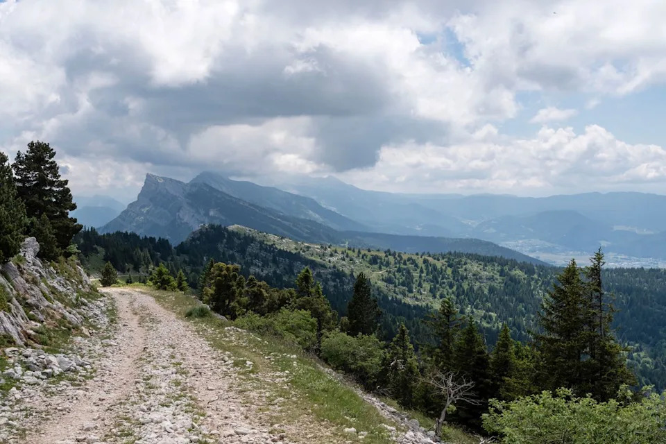 American Hiker in French Alps Airlifted to Hospital After Falling Unconscious As a result of Extreme Response from Snake Chunk American Hiker in French Alps Airlifted to Hospital After Falling Unconscious As a result of Extreme Response from Snake Chunk