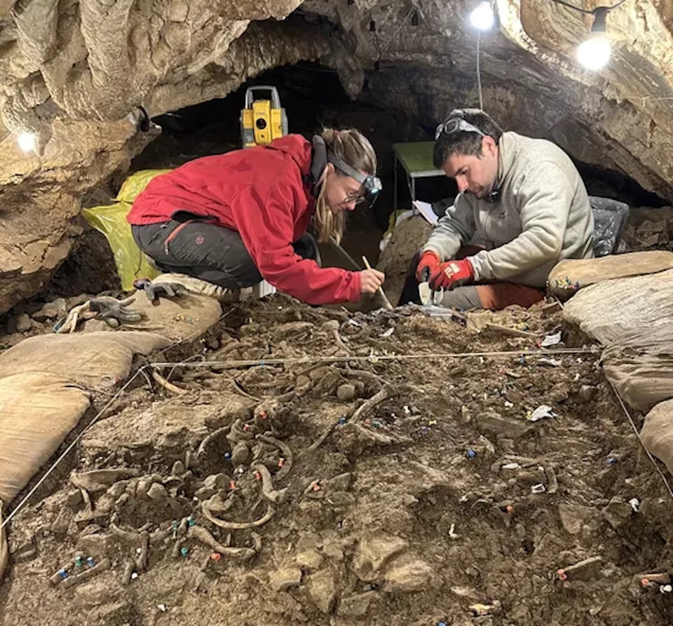 The 4,000-year-old thriller of a shepherd’s arrow to the again The 4,000-year-old thriller of a shepherd’s arrow to the again