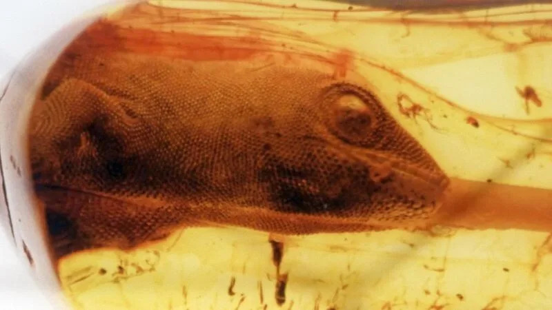 15 of The Most Current Discoveries From Inside This Moist Rock of Ours 15 of The Most Current Discoveries From Inside This Moist Rock of Ours