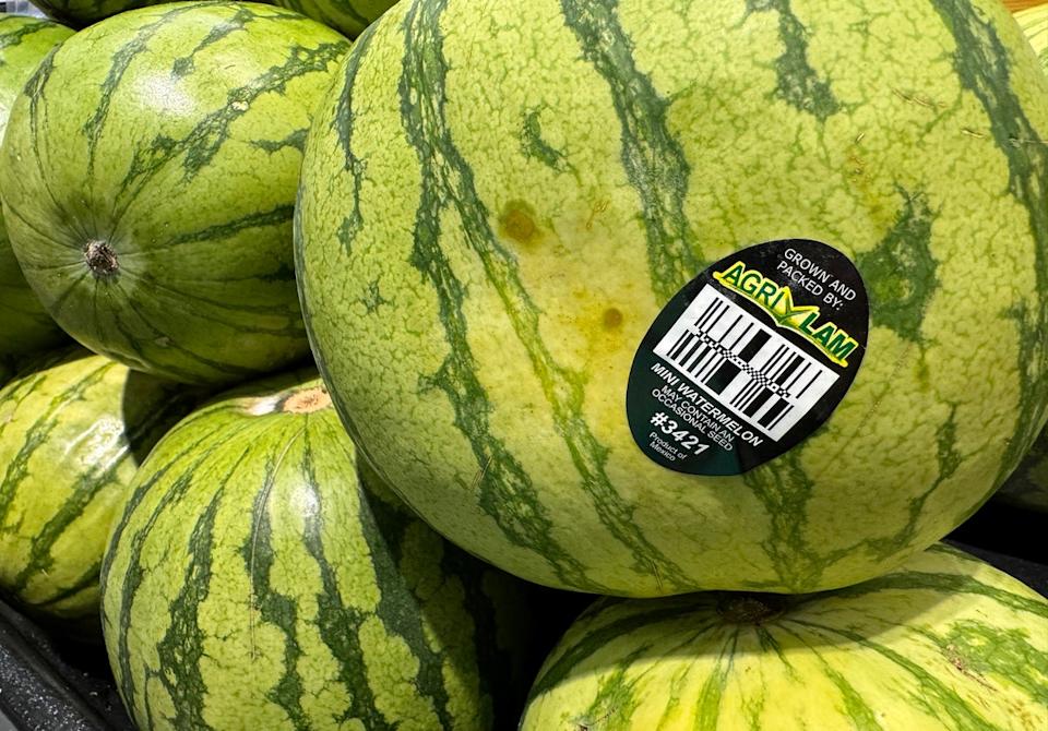 The sudden side-effect of consuming an excessive amount of watermelon The sudden side-effect of consuming an excessive amount of watermelon