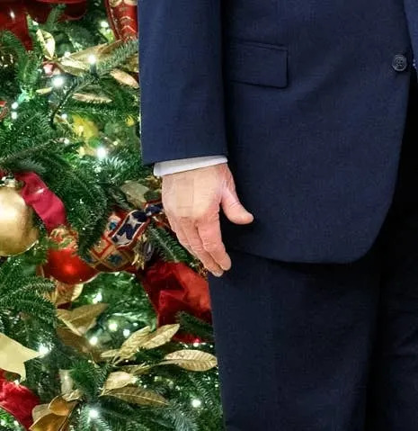 The White Home Posted A Pic Of Trump By A Christmas Tree, And His Hand Appears to be like…Fascinating The White Home Posted A Pic Of Trump By A Christmas Tree, And His Hand Appears to be like…Fascinating