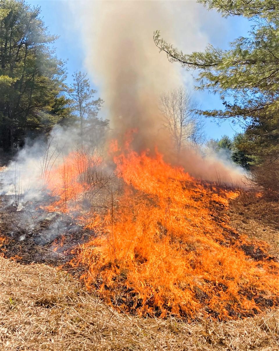 Steuben County declares native state of emergency, points outside burn ban. What to know. Steuben County declares native state of emergency, points outside burn ban. What to know.