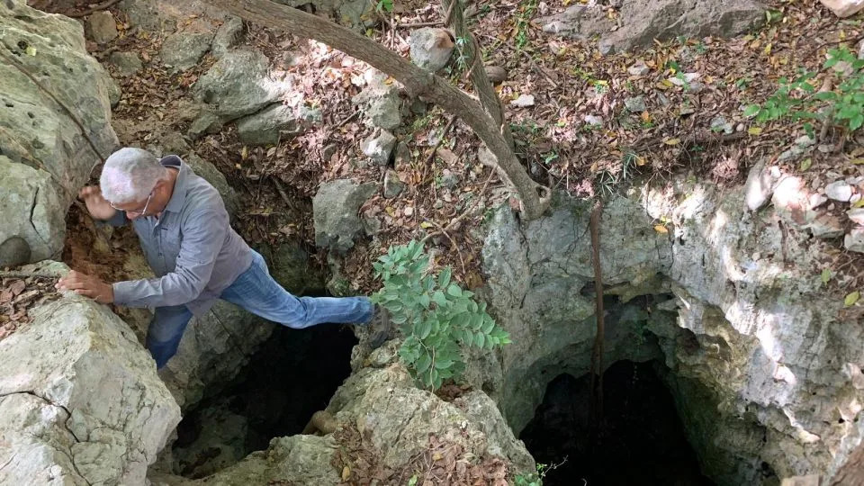 Discovery of historical bee nests in fossils factors to a never-before-seen conduct Discovery of historical bee nests in fossils factors to a never-before-seen conduct