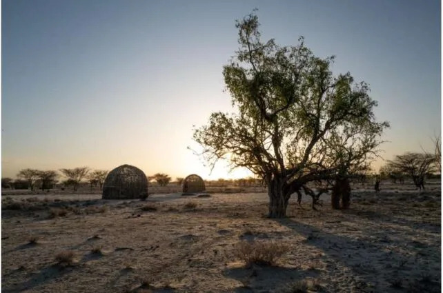 Turkana Individuals Are Evolving to Thrive on a Weight loss plan That Would Make Others In poor health Turkana Individuals Are Evolving to Thrive on a Weight loss plan That Would Make Others In poor health