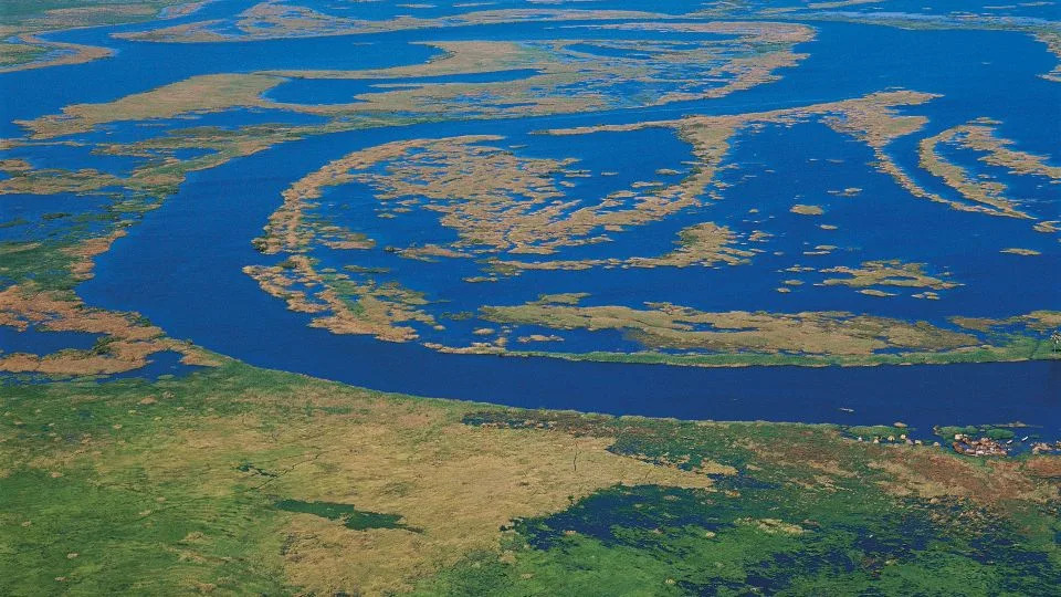 Scientists discover clues {that a} new tectonic plate boundary is forming Scientists discover clues {that a} new tectonic plate boundary is forming