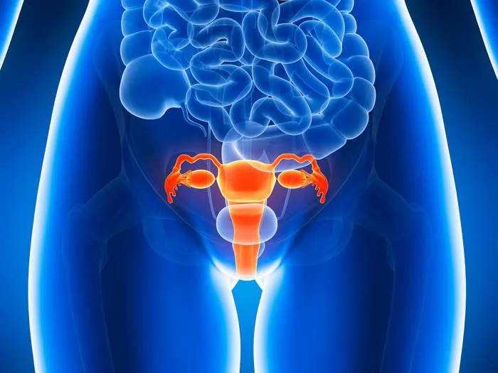 19 Surgeons Are Opening Up About The Points Of The Human Physique That ONLY They Know About, And It is Secure To Say You By no means Realized ANY Of This In Biology Class 19 Surgeons Are Opening Up About The Points Of The Human Physique That ONLY They Know About, And It is Secure To Say You By no means Realized ANY Of This In Biology Class