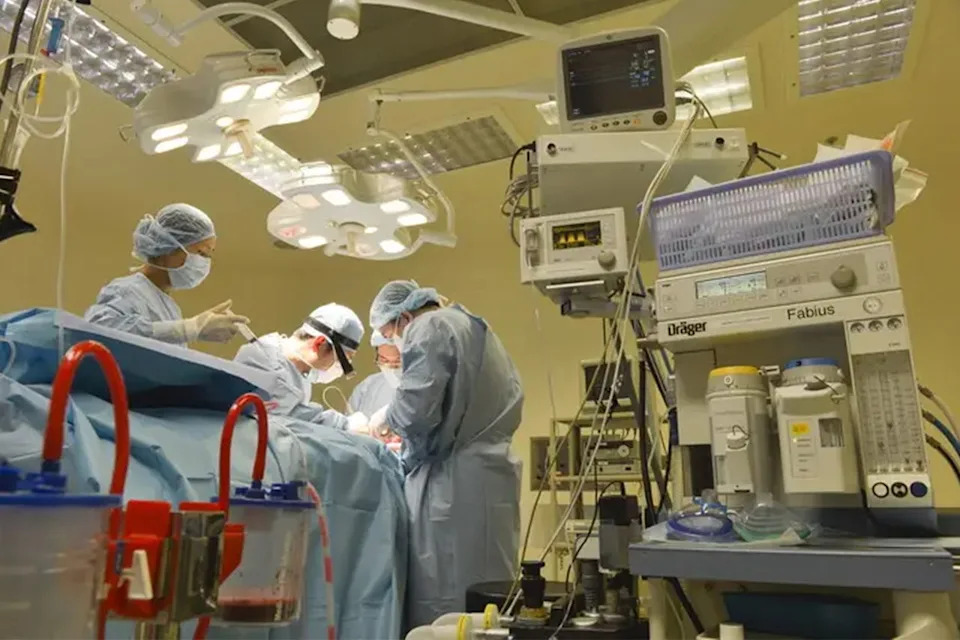 Docs Take away Large Meter-Lengthy Hairball From 9-12 months-Outdated Woman After Years of Undetected Hair Consuming Docs Take away Large Meter-Lengthy Hairball From 9-12 months-Outdated Woman After Years of Undetected Hair Consuming