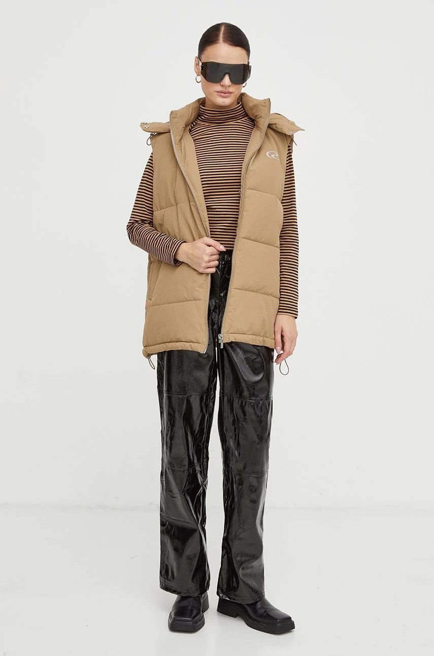 Vestă résumé Vestă résumé