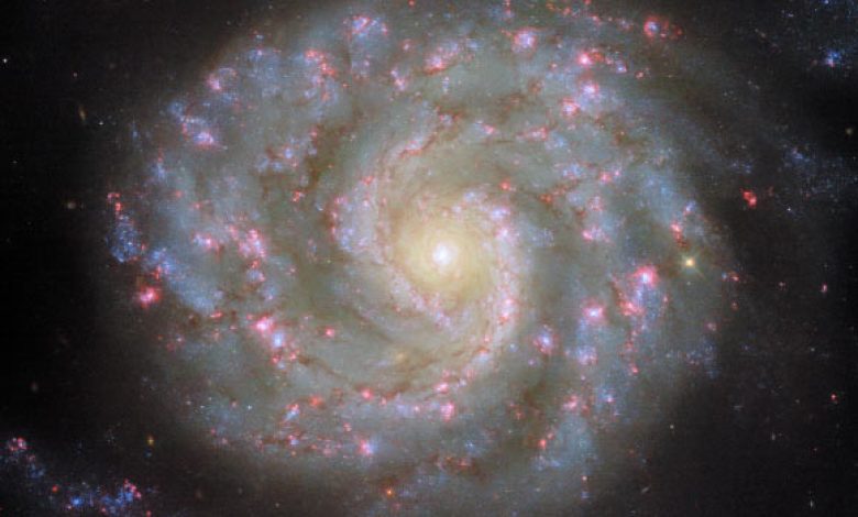 Hubble looks at the galaxy in an intermediate spiral face to face Hubble looks at the galaxy in an intermediate spiral face to face