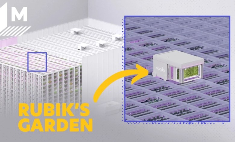 The first vertical robotic farm in the world looks like a Rubiks cube The first vertical robotic farm in the world looks like a Rubiks cube