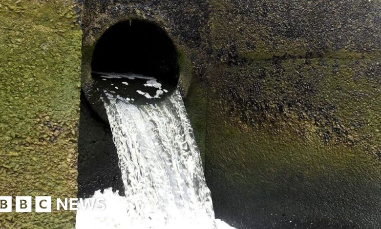 The faulty water sector needs stronger regulations, the journal says The faulty water sector needs stronger regulations, the journal says