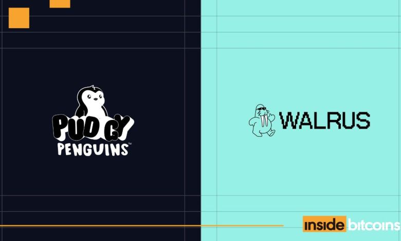 NFT Firm Taps Walrus fatty penguins to store stickers and GIF NFT Firm Taps Walrus fatty penguins to store stickers and GIF