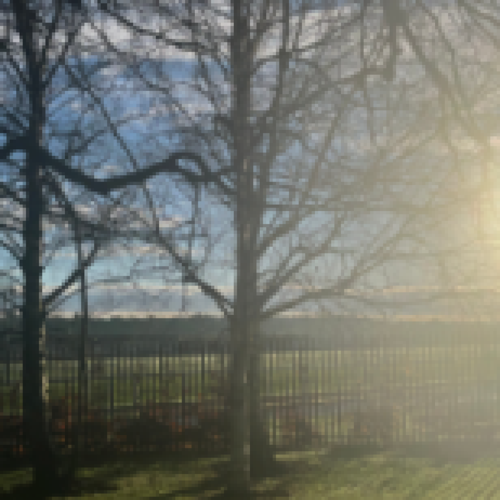 Building a Life Abroad | Study in Ireland Building a Life Abroad | Study in Ireland