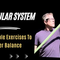 Vestibular System: Four Simple Exercises For Better Balance Vestibular System: Four Simple Exercises For Better Balance
