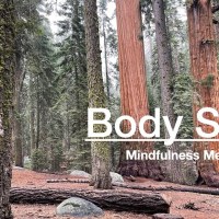 Body Scan Mindfulness Meditation – A Short Guided Body Scan Meditation Body Scan Mindfulness Meditation – A Short Guided Body Scan Meditation