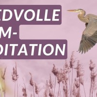 Genieße eine tiefe Entspannung in nur 20 Minuten I Meditation Genieße eine tiefe Entspannung in nur 20 Minuten I Meditation