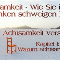 Achtsamkeit verstehen 02: Warum achtsam sein ? Achtsamkeit verstehen 02: Warum achtsam sein ?