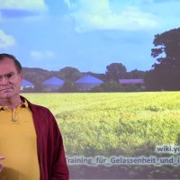 Resilienz Training für Gelassenheit und innere Stärke Resilienz Training für Gelassenheit und innere Stärke