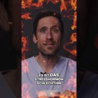 Stress abbauen: Einfache Tipps zur Senkung des Cortisol-Levels Stress abbauen: Einfache Tipps zur Senkung des Cortisol-Levels