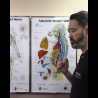 Meniere’s Disease Neurology 1 of 2 #menieresdisease #VertigoRelief Meniere’s Disease Neurology 1 of 2 #menieresdisease #VertigoRelief