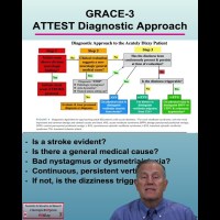 47 What are the ATTEST vertigo patient diagnostic algorithm questions in the GRACE 3 guidelines? 47 What are the ATTEST vertigo patient diagnostic algorithm questions in the GRACE 3 guidelines?