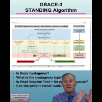 48 What is STANDING vertigo patient diagnostic algorithm as discussed in the GRACE 3 guidelines? 48 What is STANDING vertigo patient diagnostic algorithm as discussed in the GRACE 3 guidelines?
