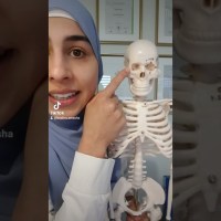 Zuviel am Bildschirm? Tipp gegen Augenbrennen und Migräne Zuviel am Bildschirm? Tipp gegen Augenbrennen und Migräne