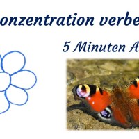 Wunderschön! Mentale Entspannung, Stressabbau, Naturfotos, Naturgeräusche Wunderschön! Mentale Entspannung, Stressabbau, Naturfotos, Naturgeräusche