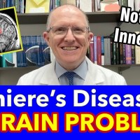 Why Meniere’s Disease Is a BRAIN Problem (not JUST balance, vertigo, hearing, tinnitus) Why Meniere’s Disease Is a BRAIN Problem (not JUST balance, vertigo, hearing, tinnitus)