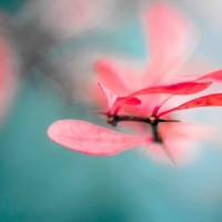 MBSR – Body Scan Meditation – 30 Minuten MBSR – Body Scan Meditation – 30 Minuten