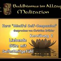 MSC-Kernübung 2: Liebende Güte mit Selbstmitgefühl – gesprochen von Christine Brähler MSC-Kernübung 2: Liebende Güte mit Selbstmitgefühl – gesprochen von Christine Brähler