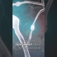 Warum Yoga und Entspannungstechniken Körper und Geist verbinden Warum Yoga und Entspannungstechniken Körper und Geist verbinden