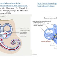 Erkältung Anhang 4: das Ohr – Gleichgewichtssinn, Schwindel Erkältung Anhang 4: das Ohr – Gleichgewichtssinn, Schwindel