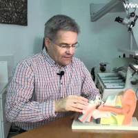 Lagerungsschwindel: Ursachen für den Drehschwindel und wie die Schwindel-Therapie funktioniert Lagerungsschwindel: Ursachen für den Drehschwindel und wie die Schwindel-Therapie funktioniert