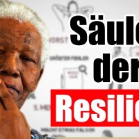 Die 7 Säulen der Resilienz (für eiserne Innere Stärke) Die 7 Säulen der Resilienz (für eiserne Innere Stärke)