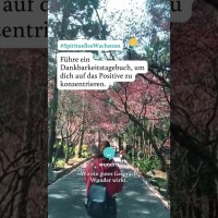 Dankbarkeitstagebuch führen Dankbarkeitstagebuch führen