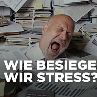 Brauchen wir mehr Stress? | 42 – Die Antwort auf fast alles | ARTE Brauchen wir mehr Stress? | 42 – Die Antwort auf fast alles | ARTE