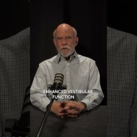 Vestibular System Training Vestibular System Training