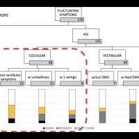 Meniere Disease | Nicolas Perez Meniere Disease | Nicolas Perez