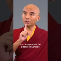 Give the monkey mind a job – Mingyur Rinpoche #meditation #mentalhealth Give the monkey mind a job – Mingyur Rinpoche #meditation #mentalhealth