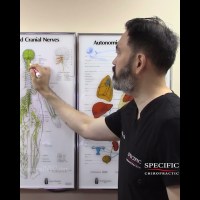 Meniere’s Disease Neurology 2 of 2 #menieresdisease #VertigoRelief Meniere’s Disease Neurology 2 of 2 #menieresdisease #VertigoRelief